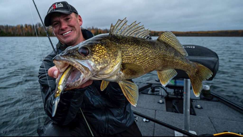 Advanced Walleye Fishing with Jerkbaits - Wired2Fish