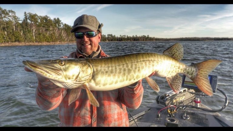 How to Catch Muskies on Big Crankbaits | Fall Tactics