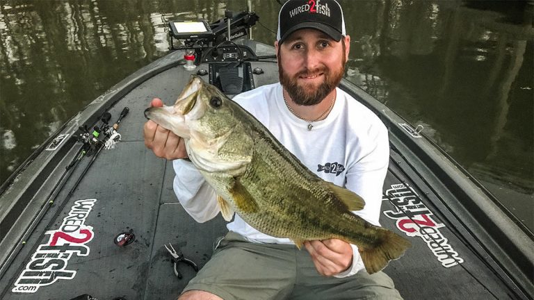 Top 10 Bass Fishing Stories of 2018