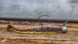 Xzone Lures Swammer Review