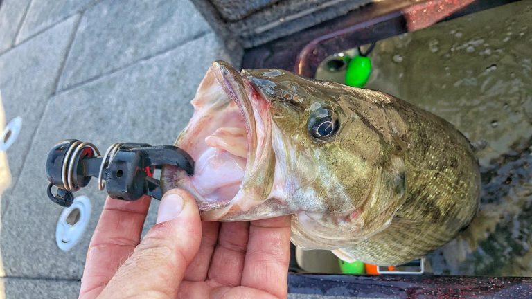 5 New Bass Fishing Tricks for an Old Dog Like Me