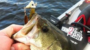 How to Fish Under Spins for Bass