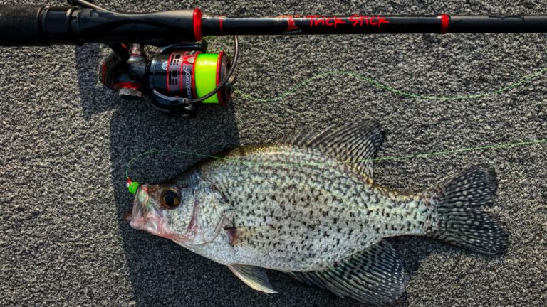 Catch More Big Crappie with These 5 Tips on Jig Control