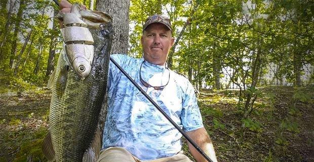 Fishing with Bull Shad Swimbaits – Fishing Online