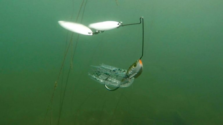 Tips for Targeting Grassline Bass With Spinnerbaits