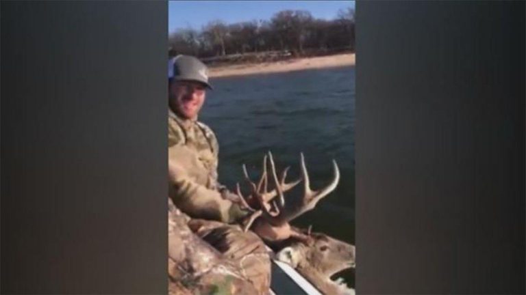 Angler Rescues Drowning Deer on Lake Texoma