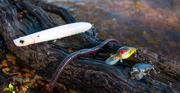 How Fishing Lures Become Regional Staples