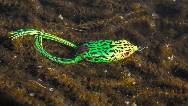 Make the Most Out of Your Bass Fishing Frog