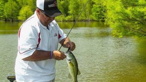 Terry’s Tips for Fishing Frogs