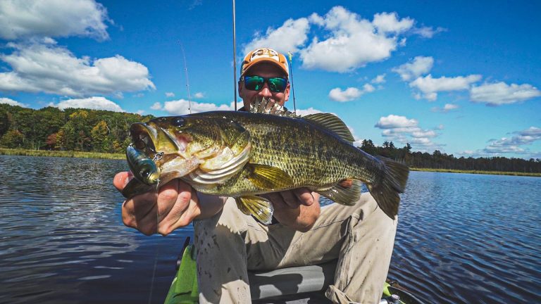 Fall Topwater Bass | When and Where to Fish Shallow