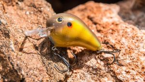 Norman Fat Boy Crankbait Review