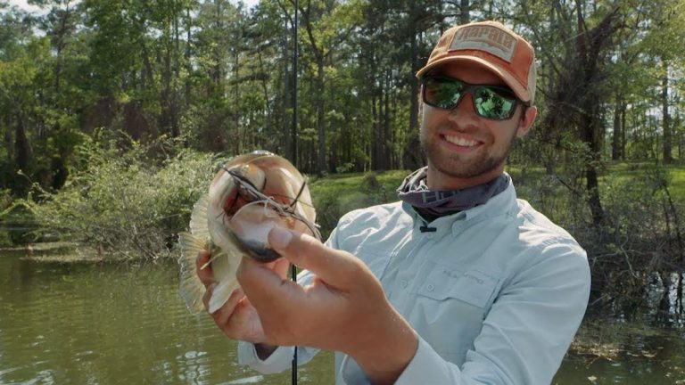 What Makes a Frog the Best Heavy Cover Topwater Lure