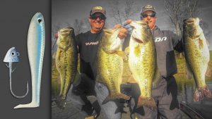 How to Catch Big Bass on Paddletail Swimbaits