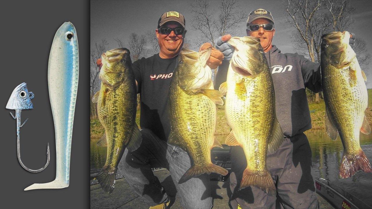 How to Catch Big Bass on Paddletail Swimbaits - Wired2Fish