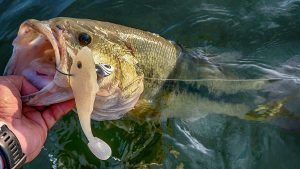 5 Tricks to Fish a Deep Swimbait for Bass in Heavy Current