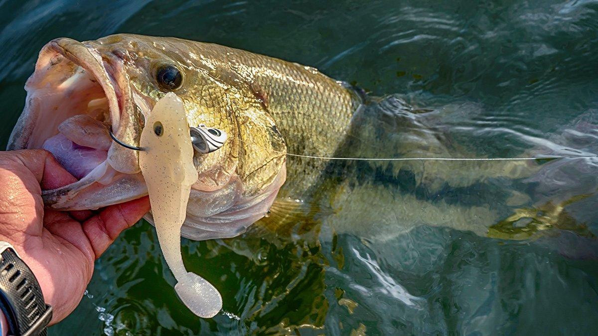 5 Tricks to Fish a Deep Swimbait for Bass in Heavy Current - Wired2Fish