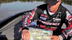 Choosing Crankbait Colors for Bass