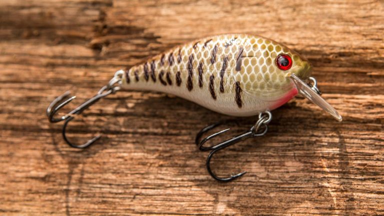 8 Discontinued Bass Fishing Lures We Wish Were Still Made