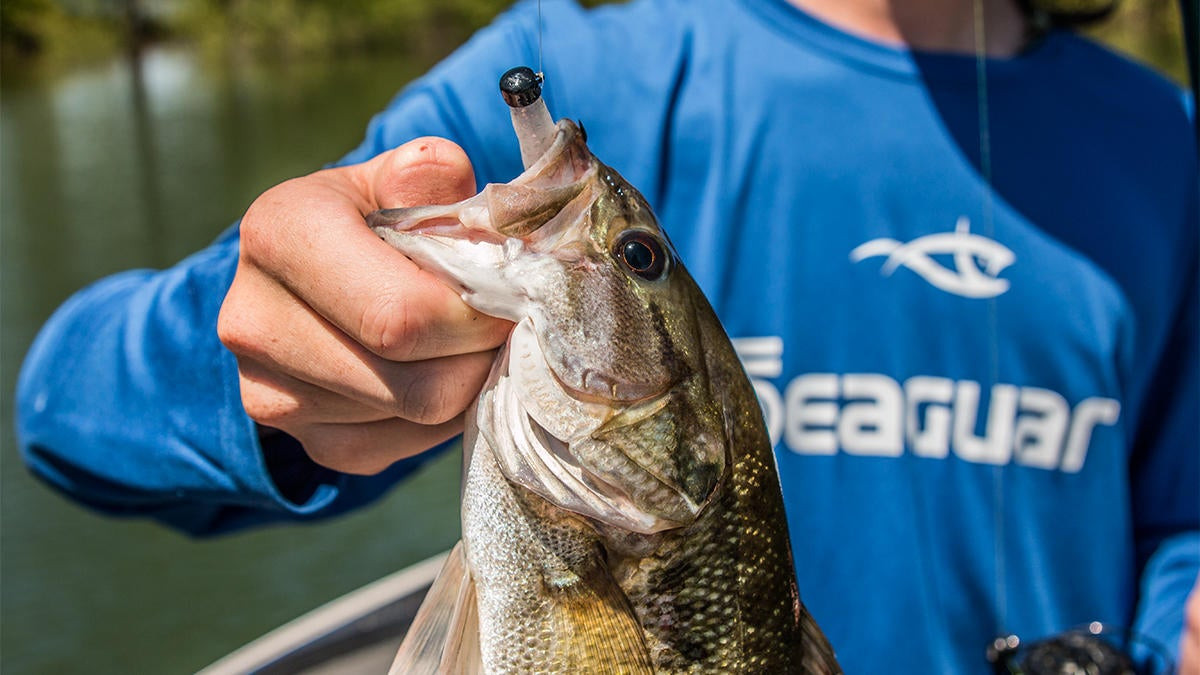 ChatterBait Science: Vibration and The Right Hookset with Rick Clunn -  Wired2Fish