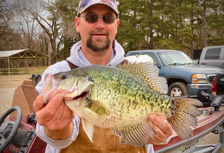 Two Nearly Record Crappie Caught in Louisiana