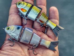 Catch Co. Bucca Baby Bull Shad Review