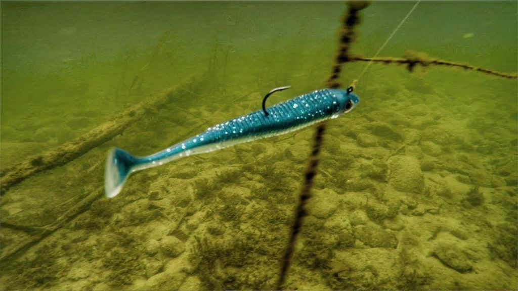 2 Ways to Target Walleyes With Paddle Tail Swimbaits - Wired2Fish