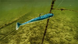 2 Ways to Target Walleyes With Paddle Tail Swimbaits