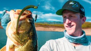 Fishing for Giant Bass Offshore on Lake Baccarac