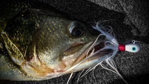 How Much Do You Know about Hair Jigs for Bass