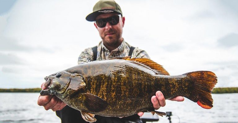 Record Catch-and-Release Smallmouth Caught