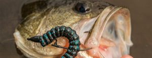 Lazer Trokar MagWorm B.A.R.B. EWG Hook Review