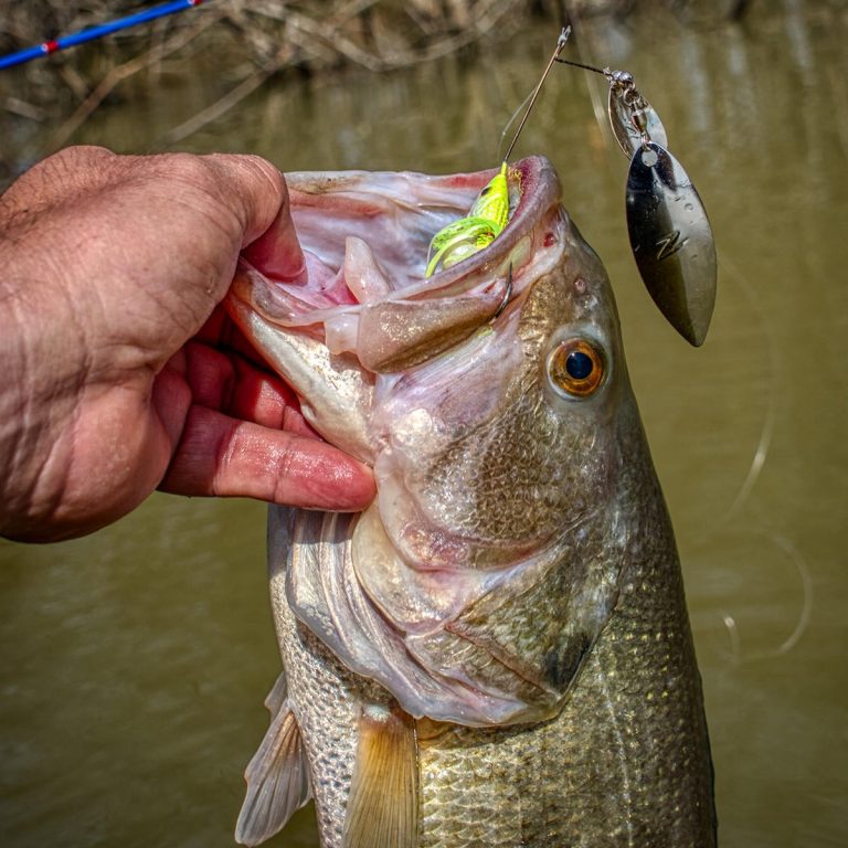 How to Target Warming Pockets for the Best Spring Bass Fishing