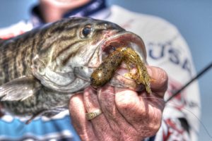 Master Cracking Tubes for Better Bass Fishing