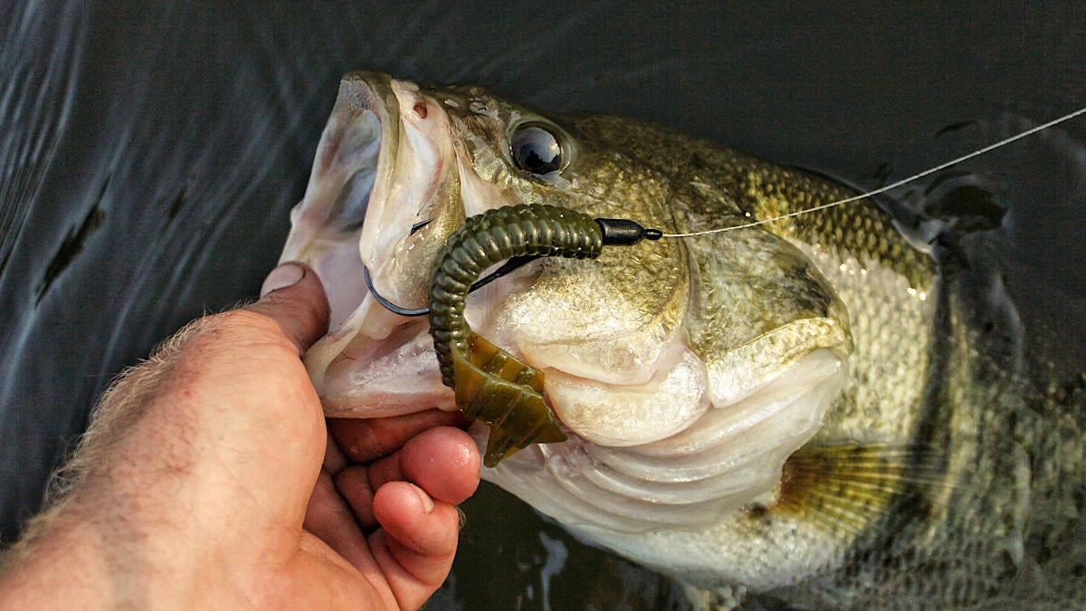 Nichols Lures Trailblazer Double Tail Grub Review - Wired2Fish