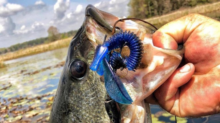 Why You Should Always Punch Junk Mats for Bass