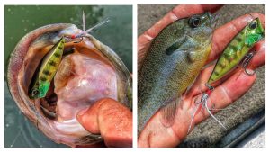 5 Options for Downsized Power Fishing for Bass