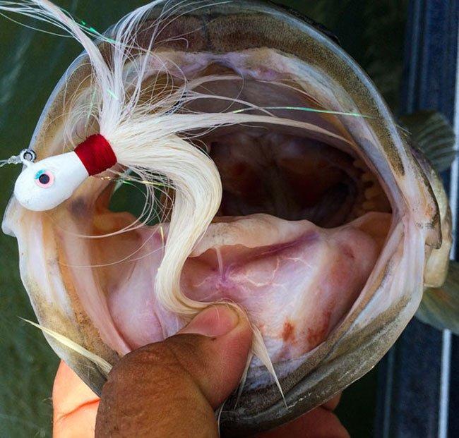 5 Reasons You Need to Use Feathered Bucktail Jigs - Wired2Fish