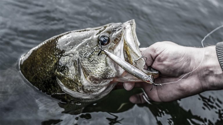 Historic Cold Grips the Country: How Can You Catch a Bass Right Now?