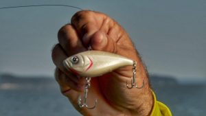 Master Depth Control With Lipless Crankbaits