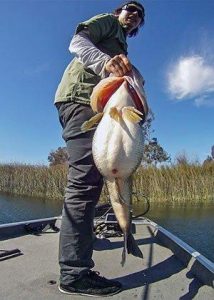 7 Reasons to Fish the Early Prespawn for Bass