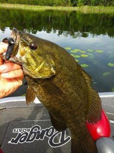 Grand Rapids, Minnesota Fishing