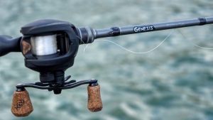 Ark Genesis Series 2-Piece Travel Rod Review