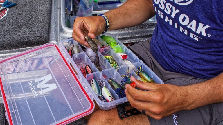 How to Target Fry Guarders with Topwater Bass Fishing Lures - Wired2Fish