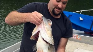 19-pound Bass Caught in California