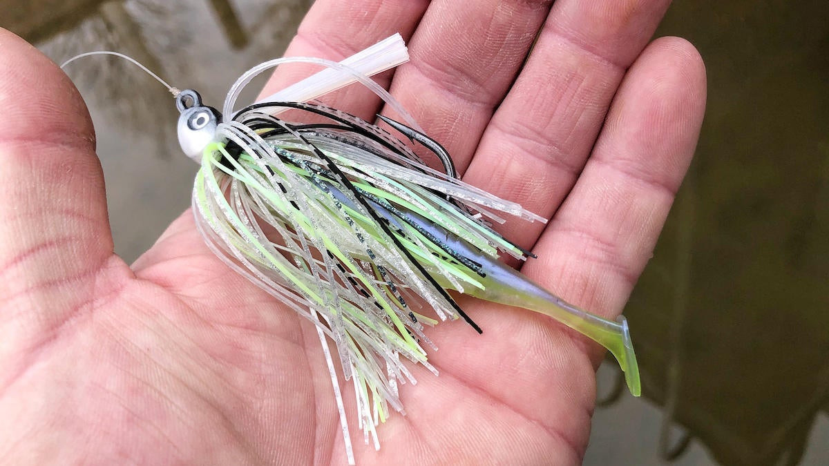 Best Trailers to Use on a Swim Jig