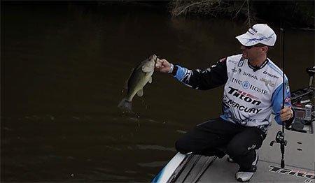 Randy Howell's Tips for Fishing Senkos in the Spring - Wired2Fish