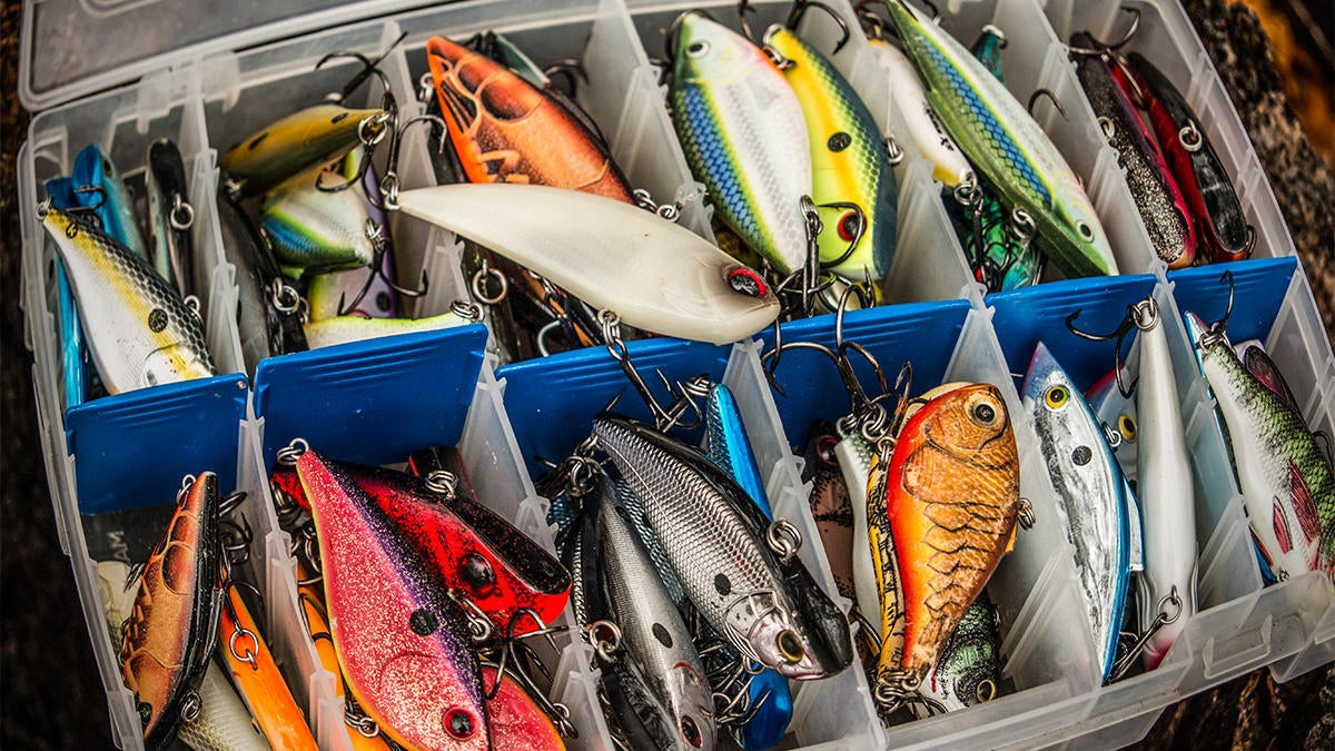 The 5 Most Underrated Lipless Crankbaits Available - Wired2Fish