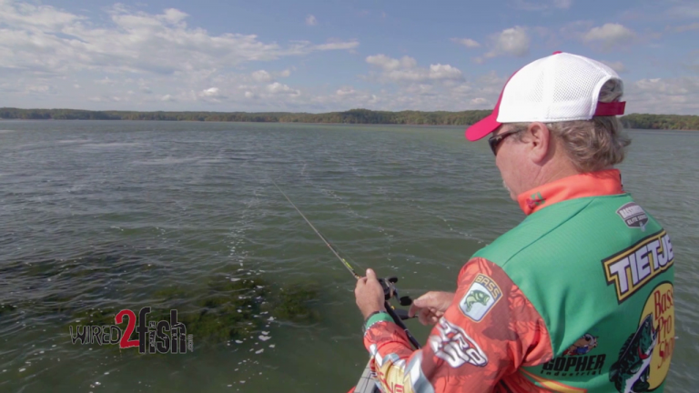 Quick Tip to Catch Suspended Bass in Grass