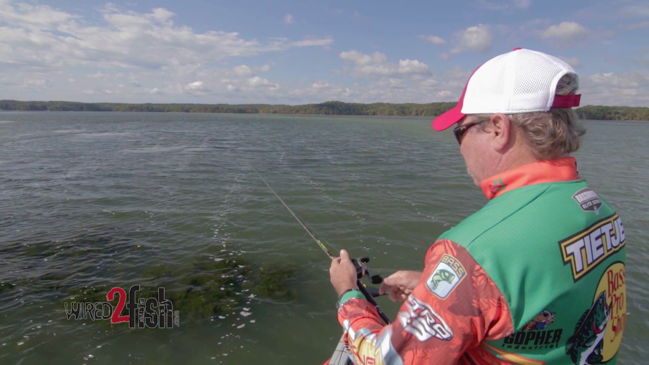 Quick Tip to Catch Suspended Bass in Grass - Wired2Fish