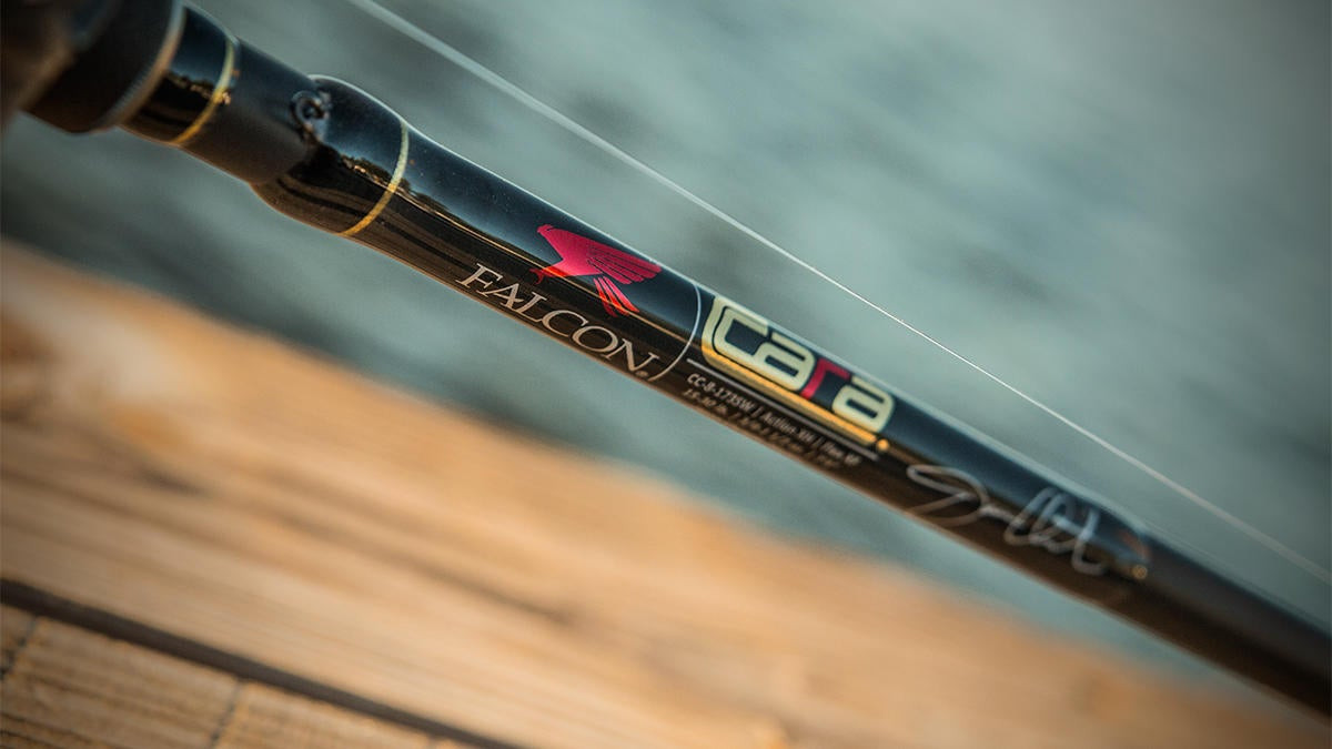 Falcon Cara Casting Rod Review - Wired2Fish